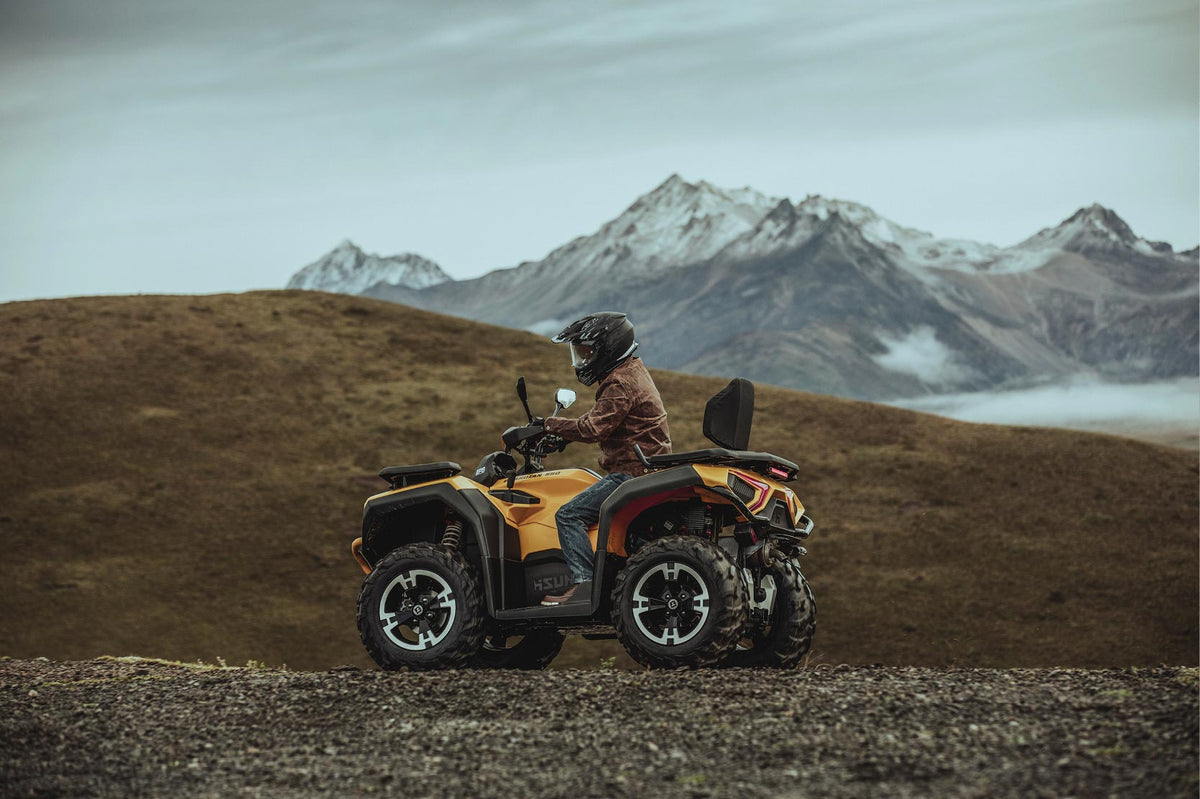 Hisun - ATV Guardian 400 31 PS 400ccm - schwarz - Lenkerschutz, Gepäckträger vorne & hinten