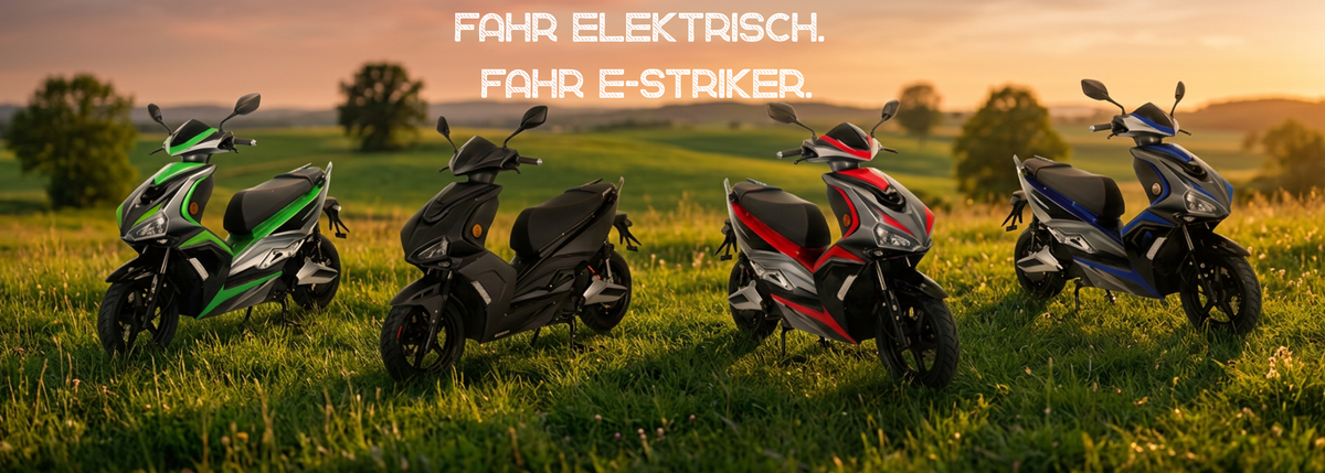 Elektroroller