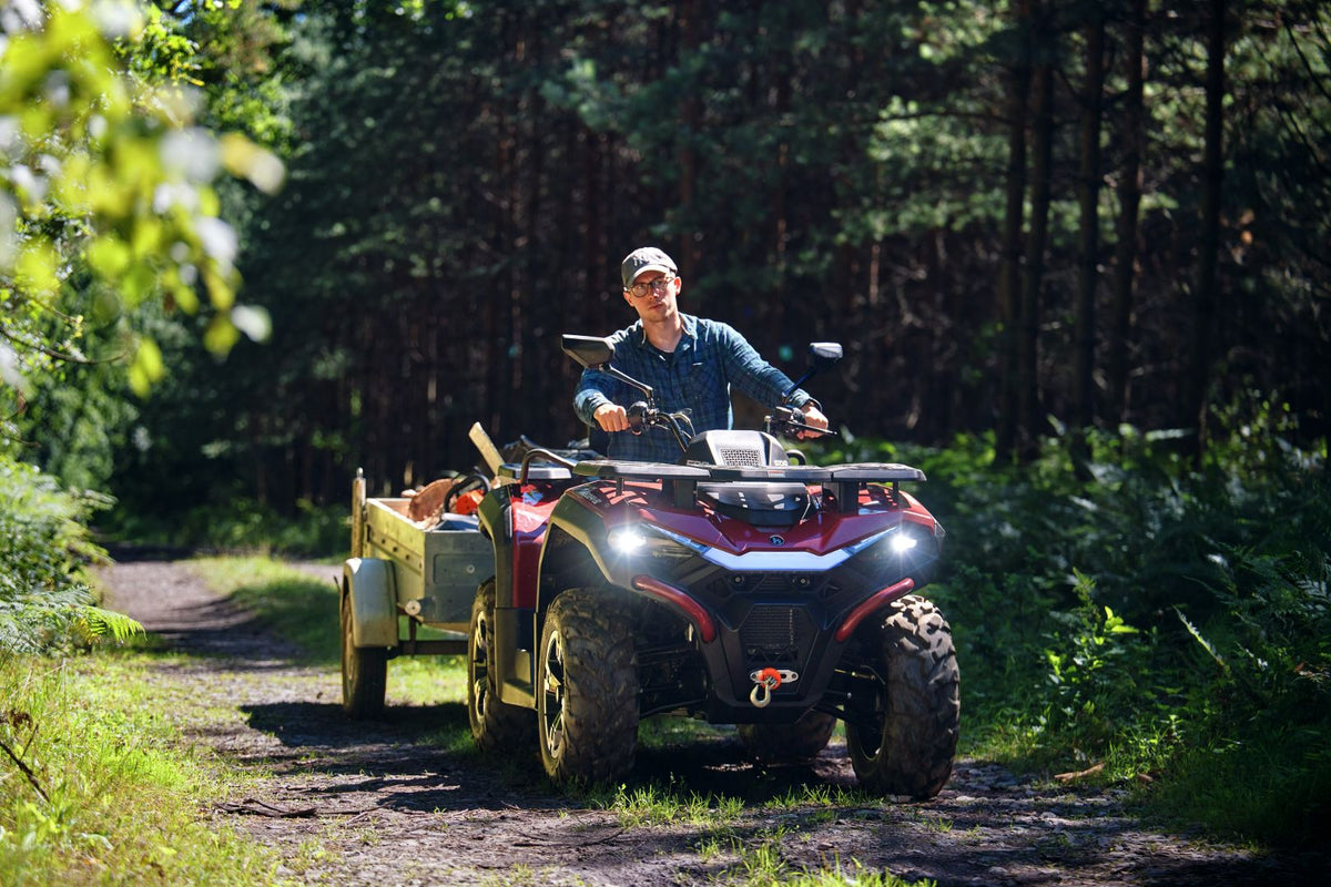 Hisun - ATV Guardian 550 36,7 PS 550ccm - waldcamouflage - Lenkerschutz, Gepäckträger vorne & hinten, Rückenlehne & Servolenkung