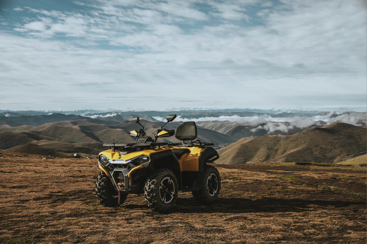 Hisun - ATV Guardian 400 31 PS 400ccm - schwarz - Lenkerschutz, Gepäckträger vorne & hinten